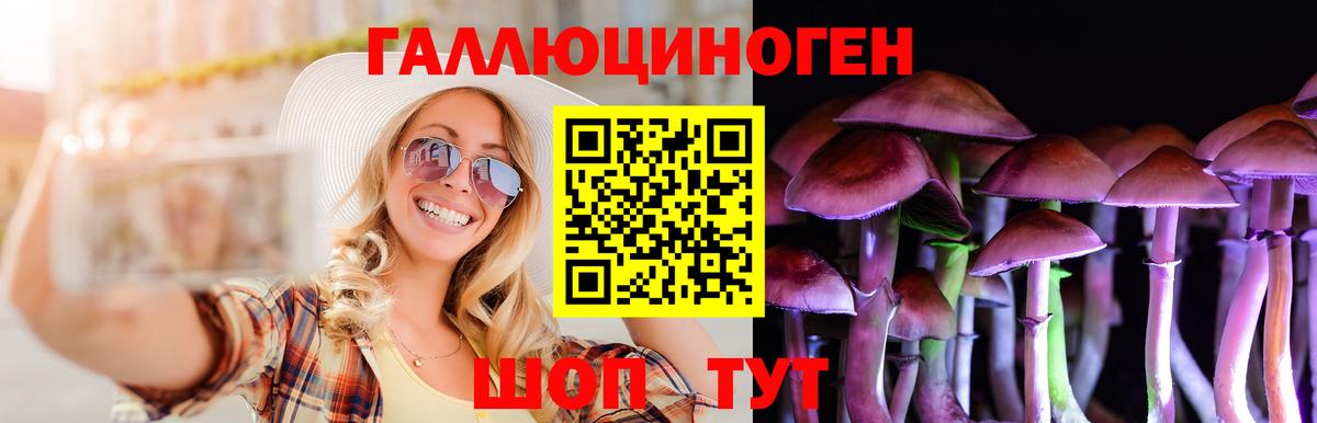 Барнаул  Галлюциногенные грибы Cubensis  Вход с VPN 